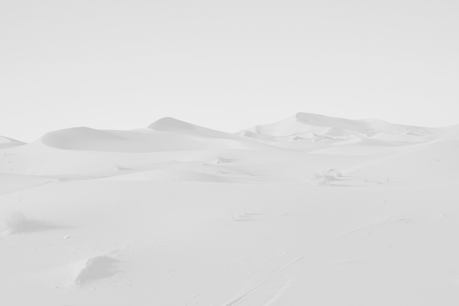 Wireframe placeholder